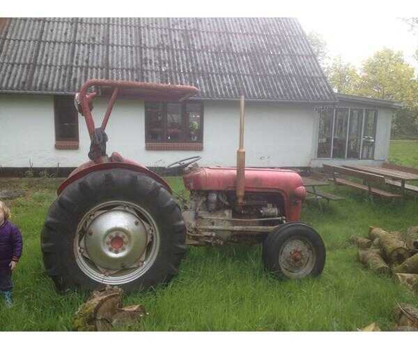 Massey Ferguson Mf Benzin Timer Mf Har Haft En Ejer Tidligger